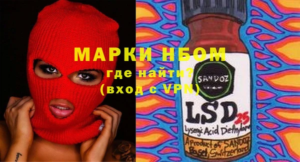 ГАЛЛЮЦИНОГЕННЫЕ ГРИБЫ Белокуриха