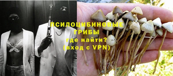 ГАЛЛЮЦИНОГЕННЫЕ ГРИБЫ Белокуриха