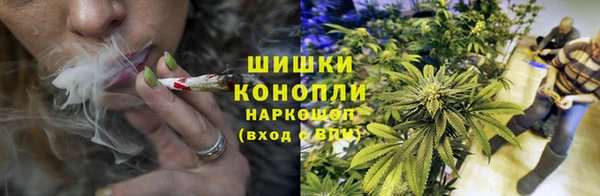 ГАЛЛЮЦИНОГЕННЫЕ ГРИБЫ Белокуриха